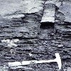 image of Figure 33